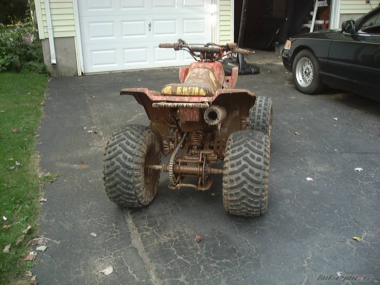 Photo 218783