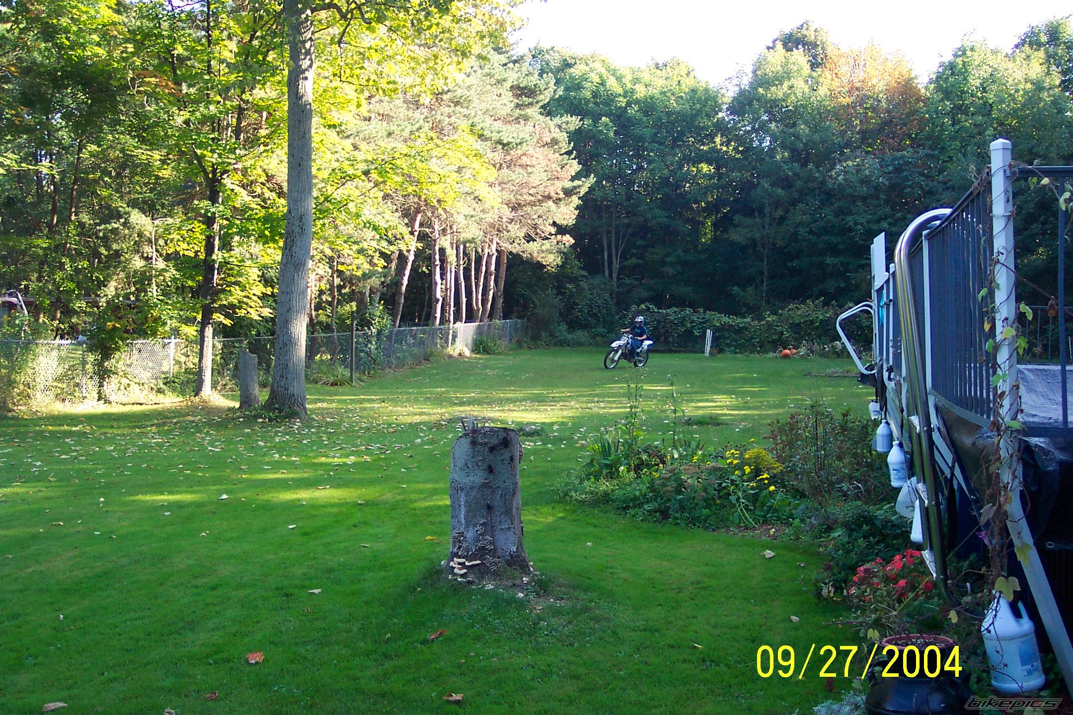 Photo 218791