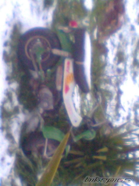 Photo 2188372