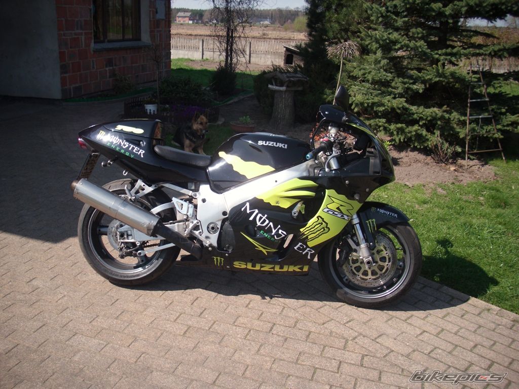Photo 2188774