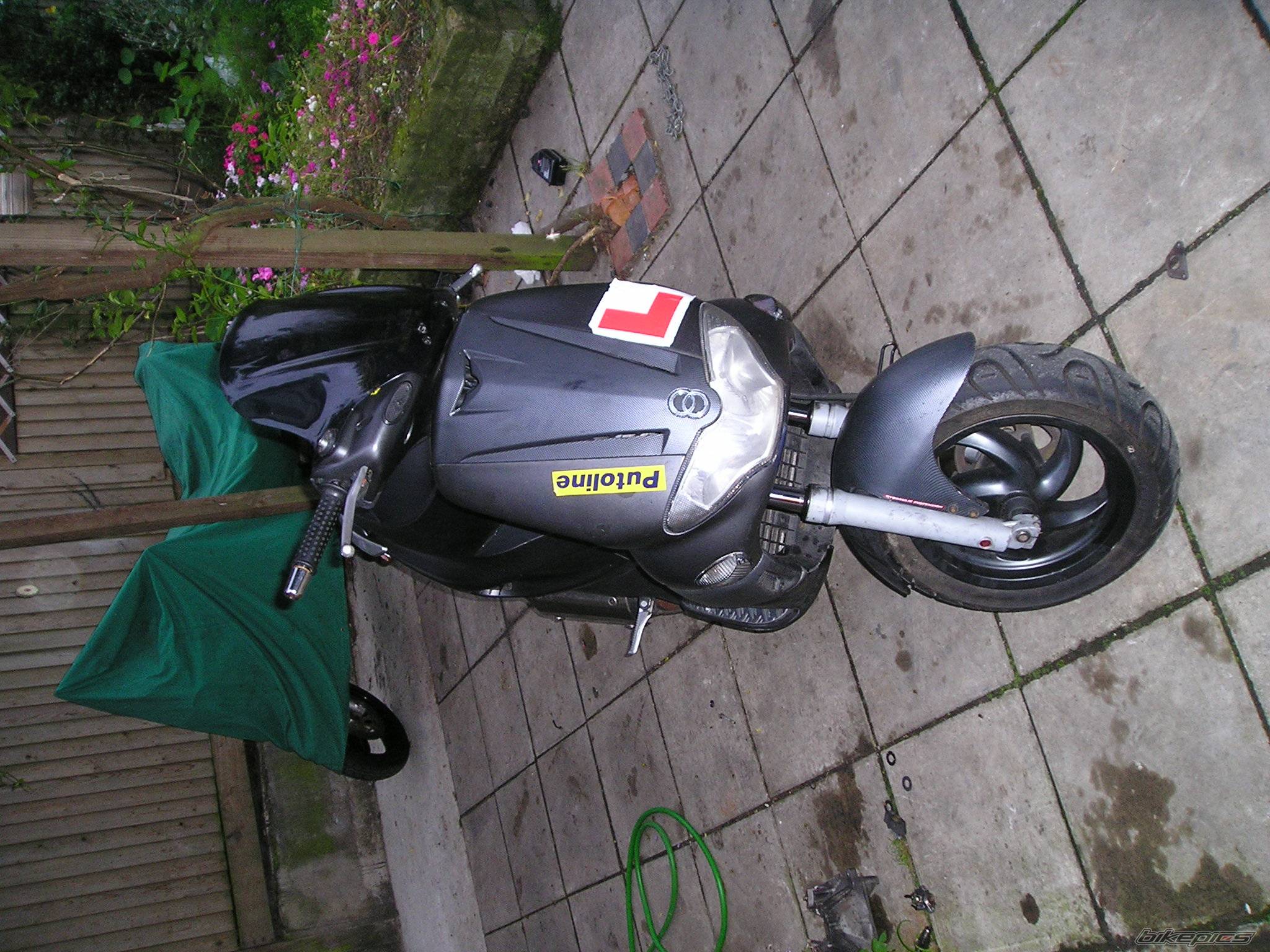 Photo 218903