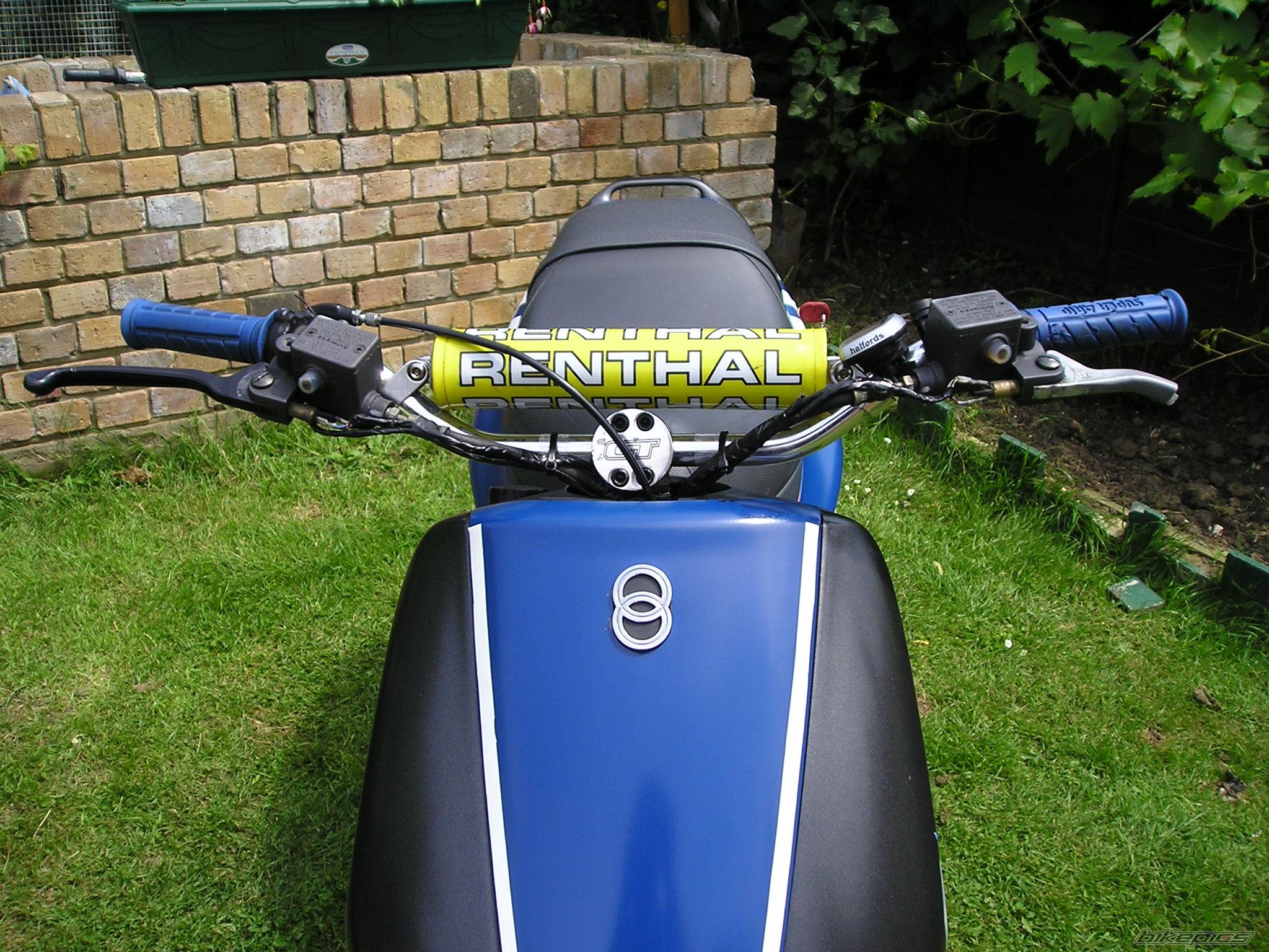 Photo 218913