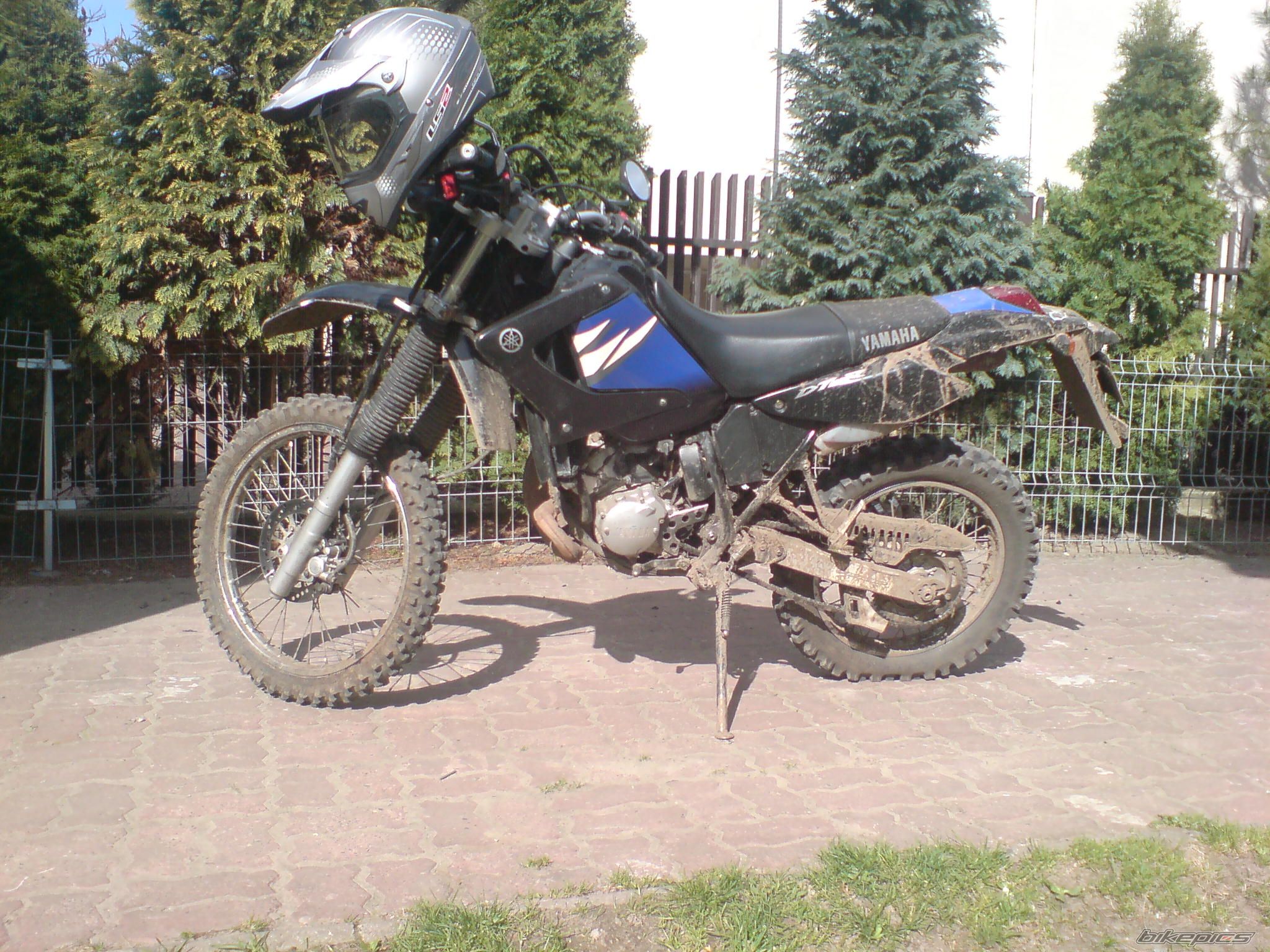 Photo 2189703