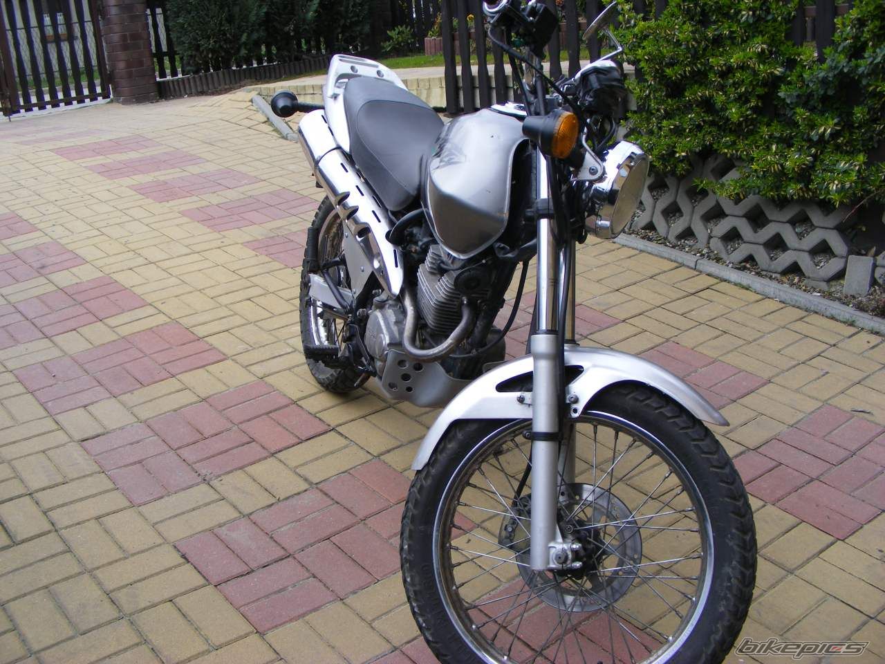 Bike Photo 2189729