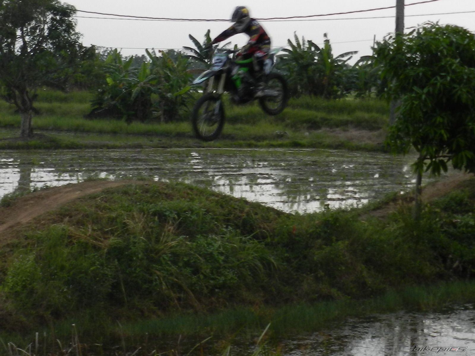 Photo 2189768