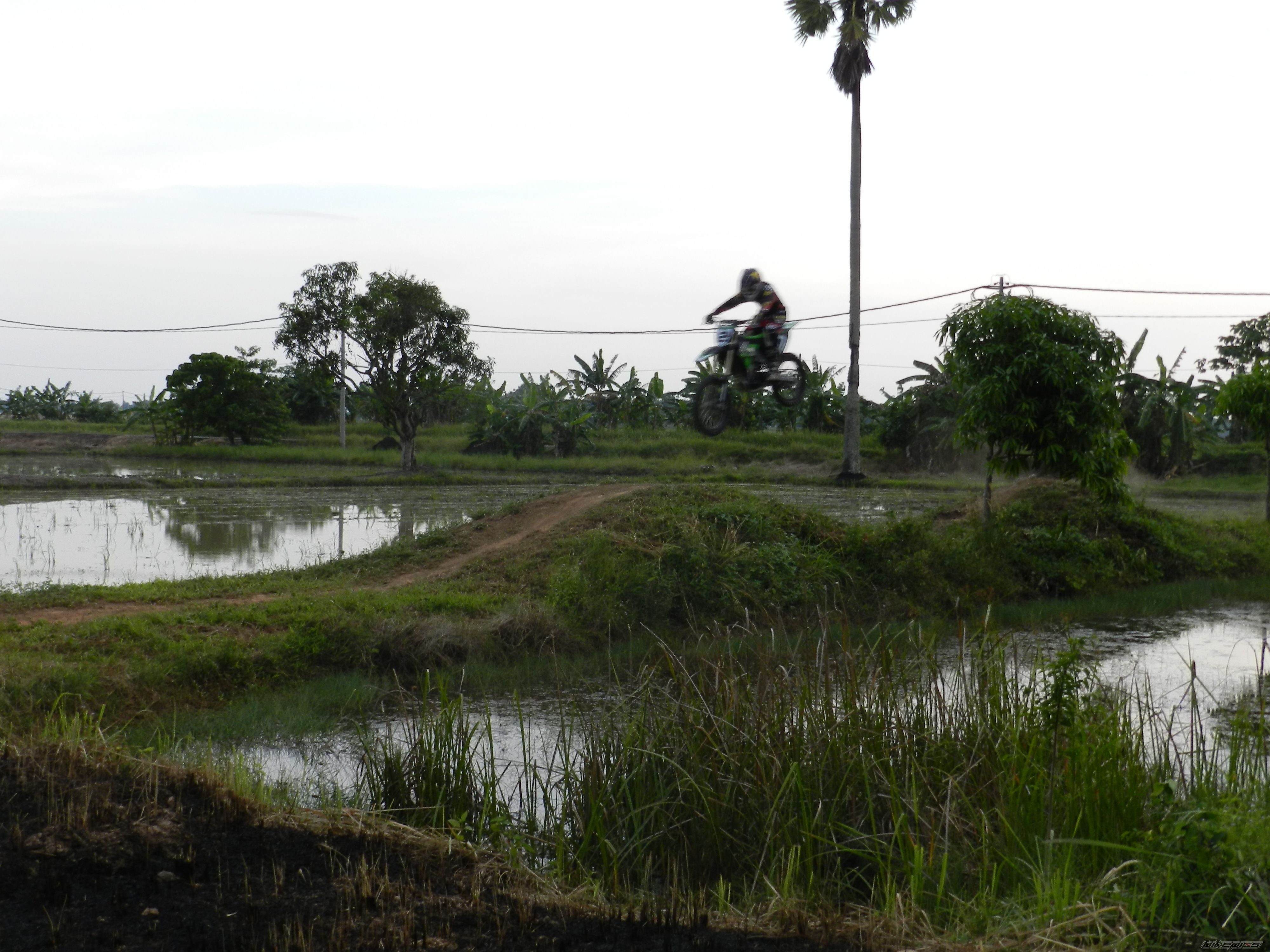 Photo 2189774