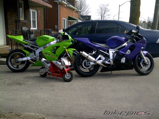 Photo 2189812