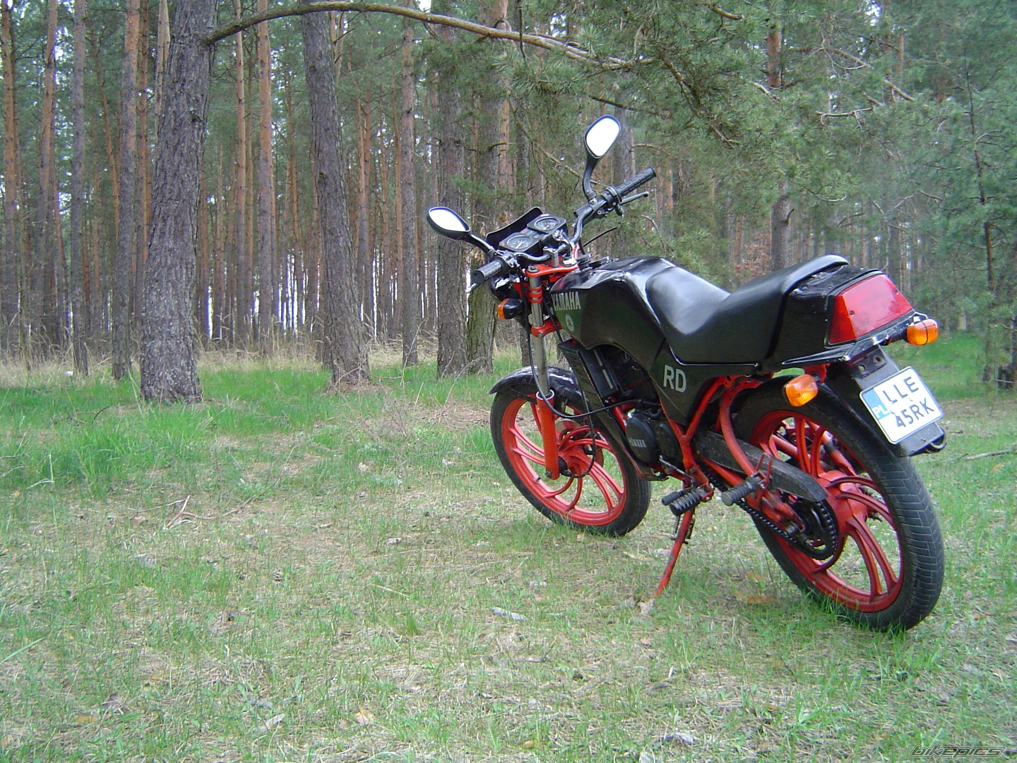Photo 2190020