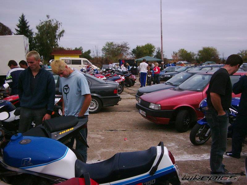 Photo 219007