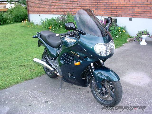 Photo 21901