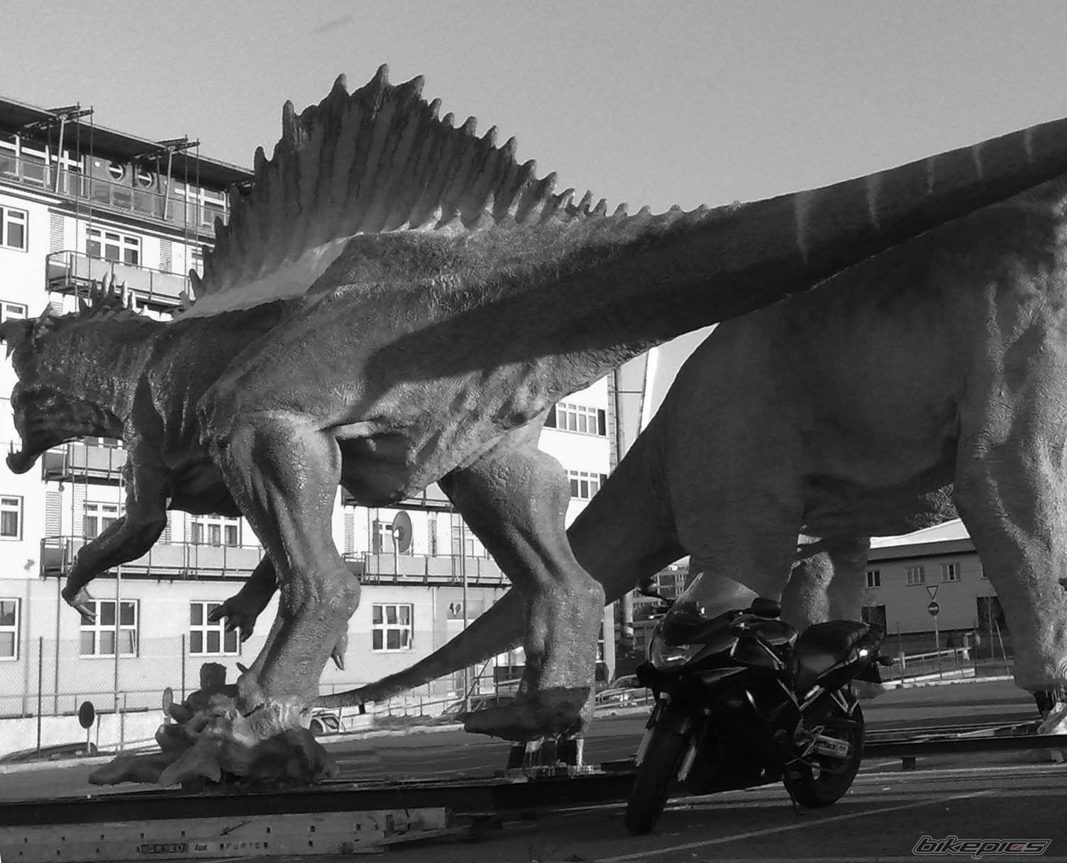 Photo 2190110