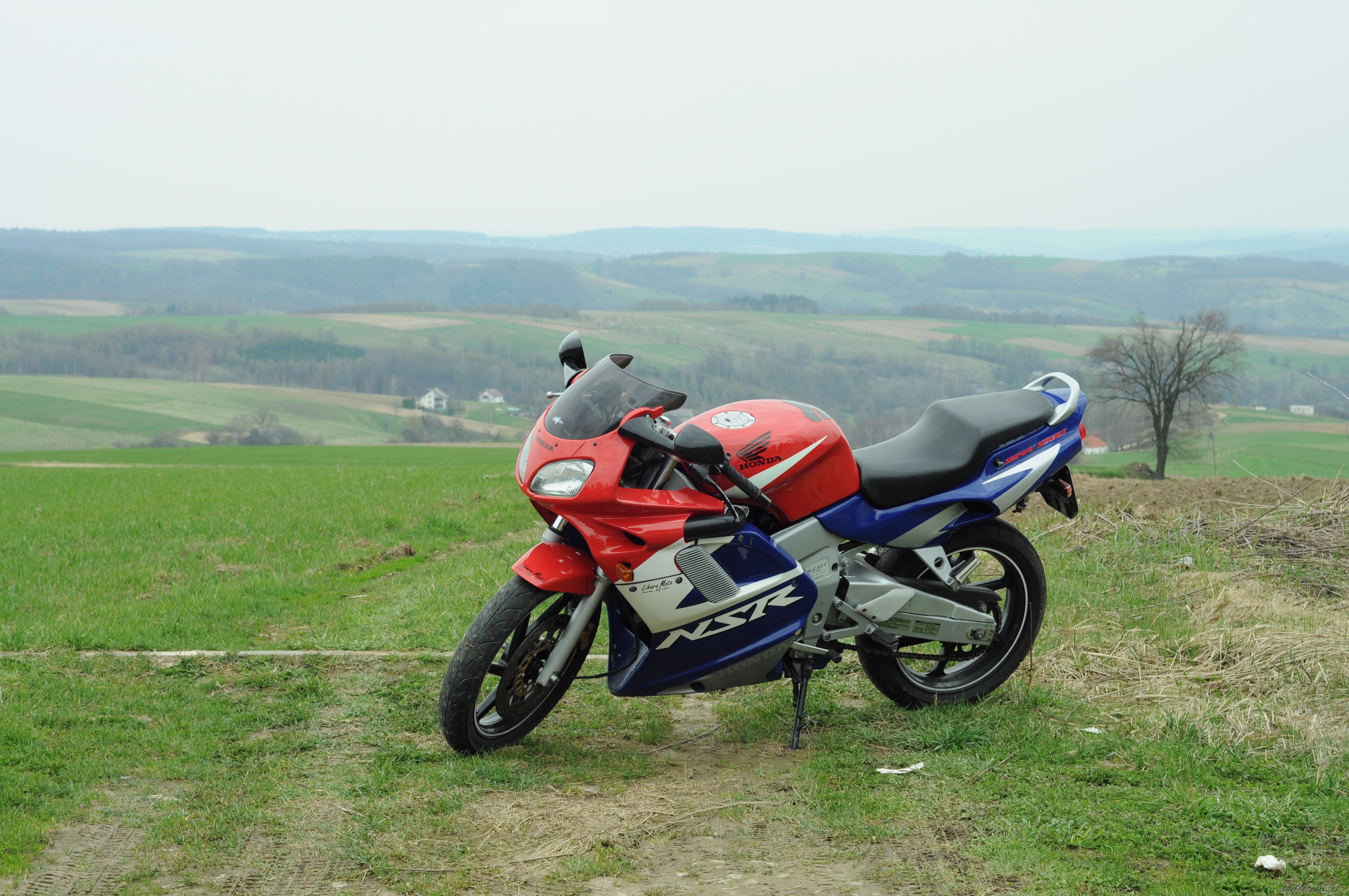 Photo 2190147