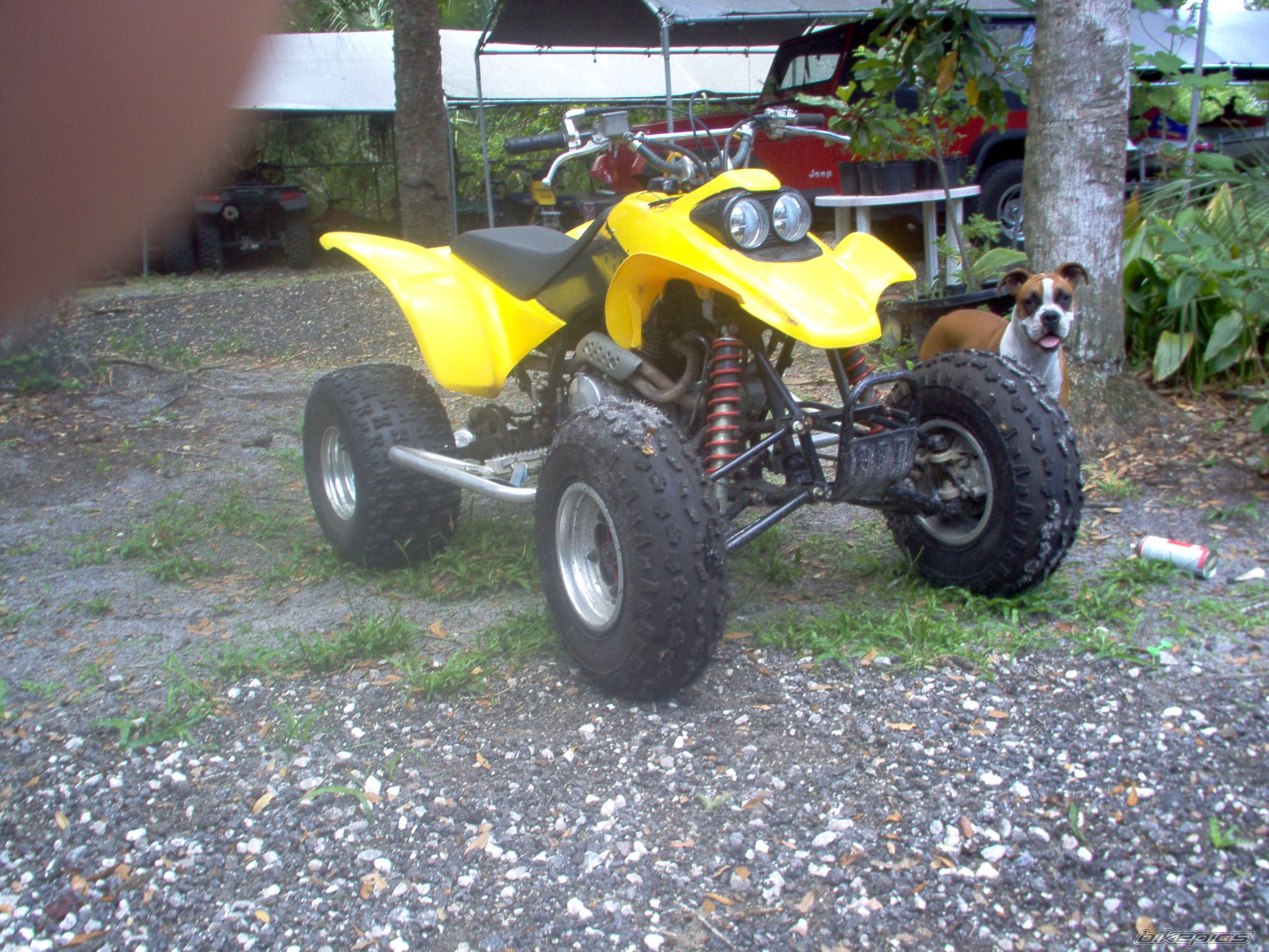 Photo 2190260
