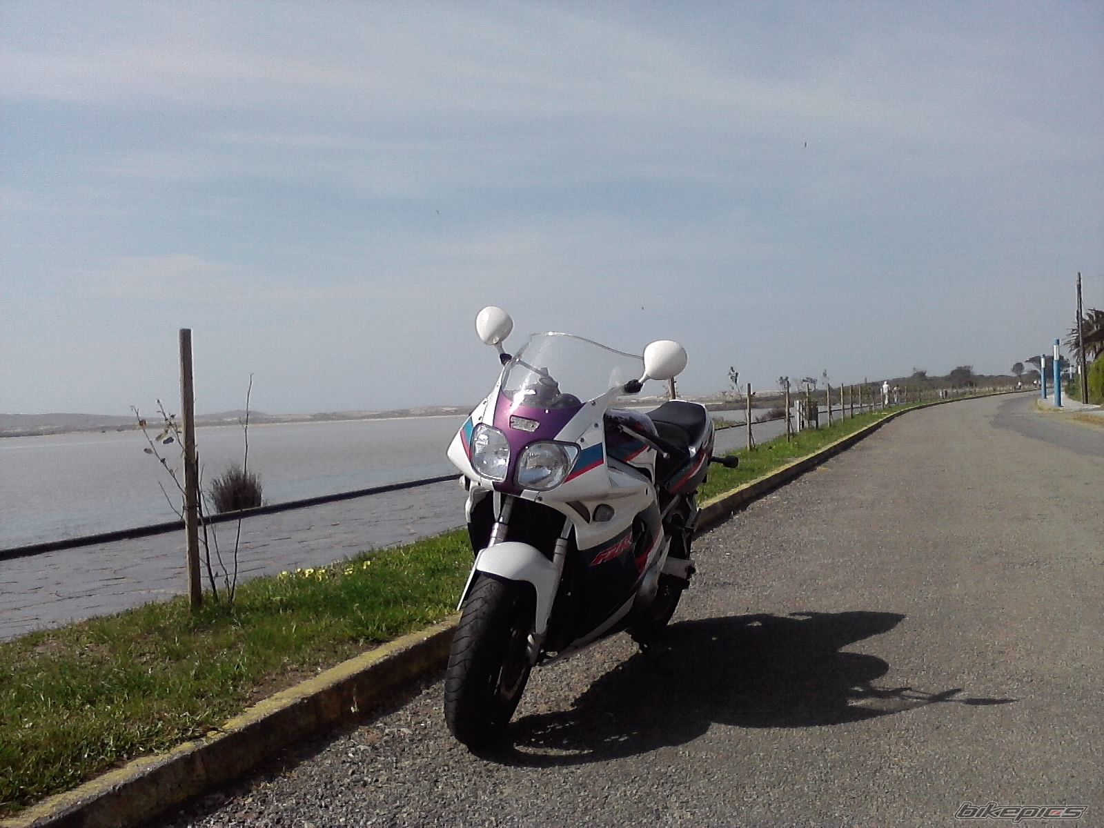 Photo 2190506