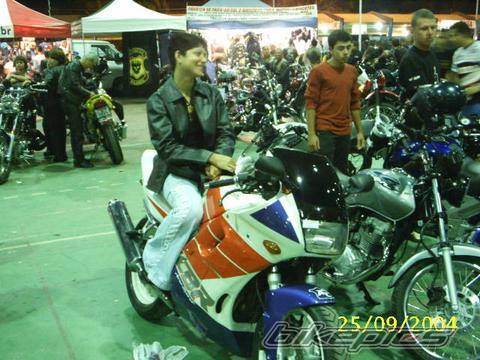 Photo 219064