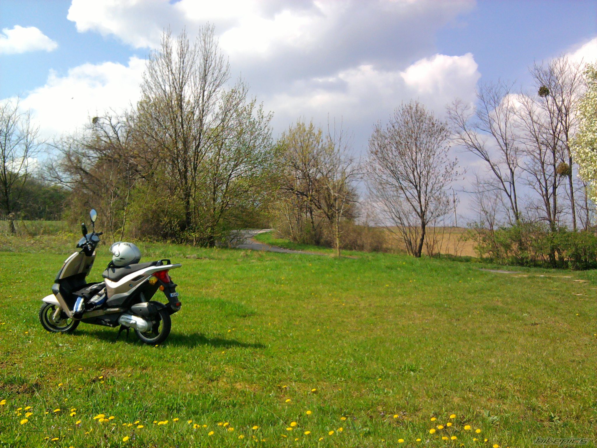 Photo 2191256