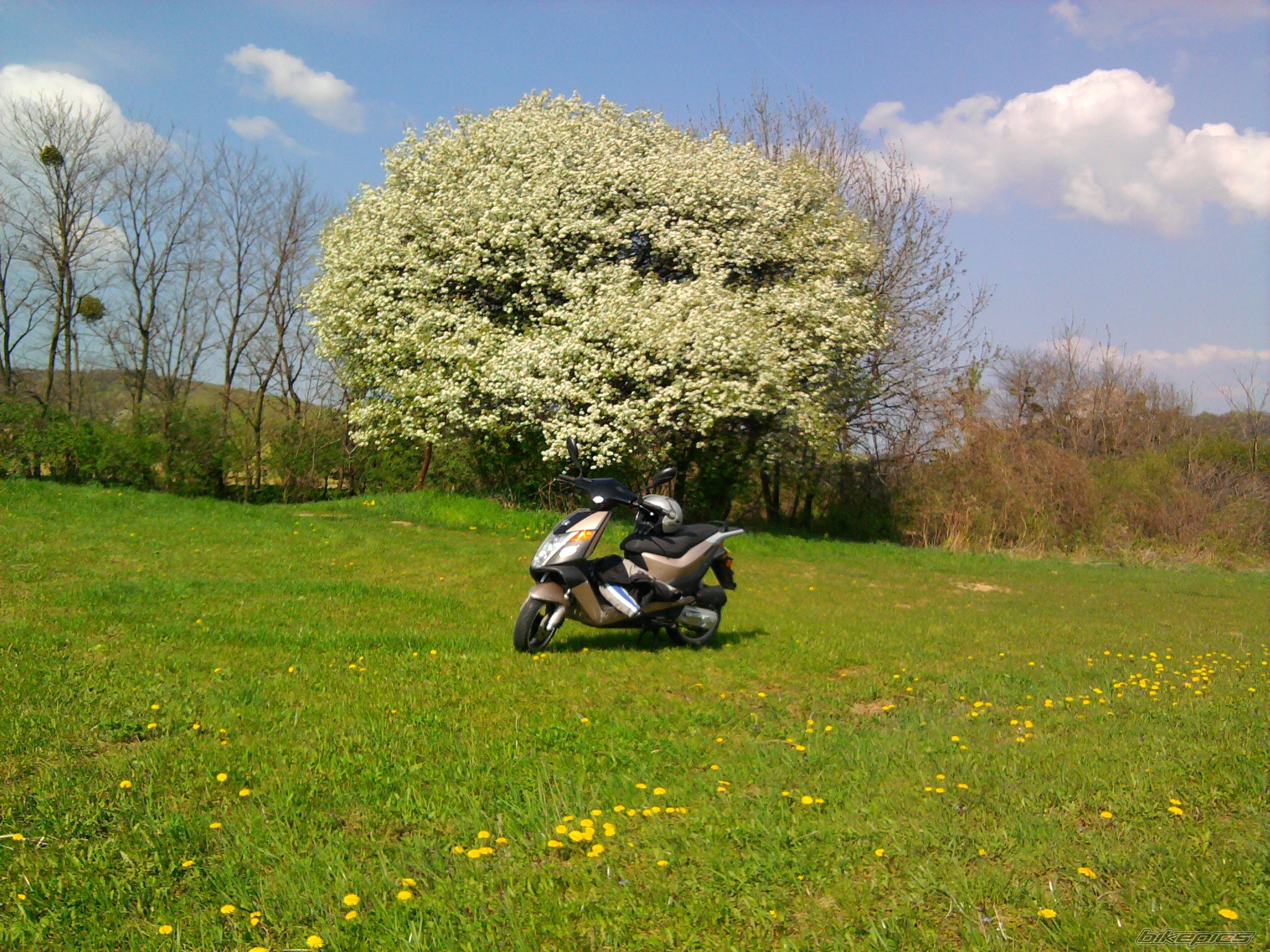 Photo 2191257