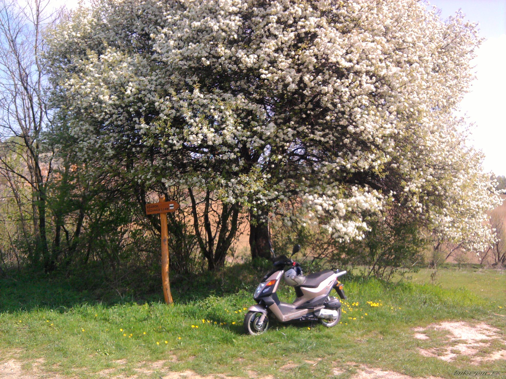 Photo 2191261