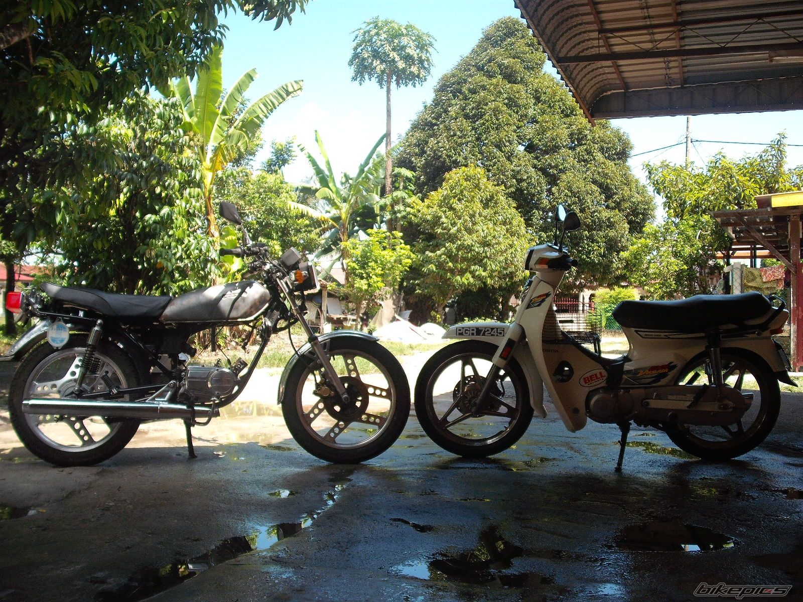 Photo 2191323
