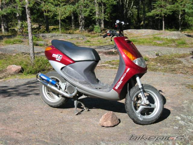 Photo 219164