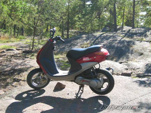 Photo 219166