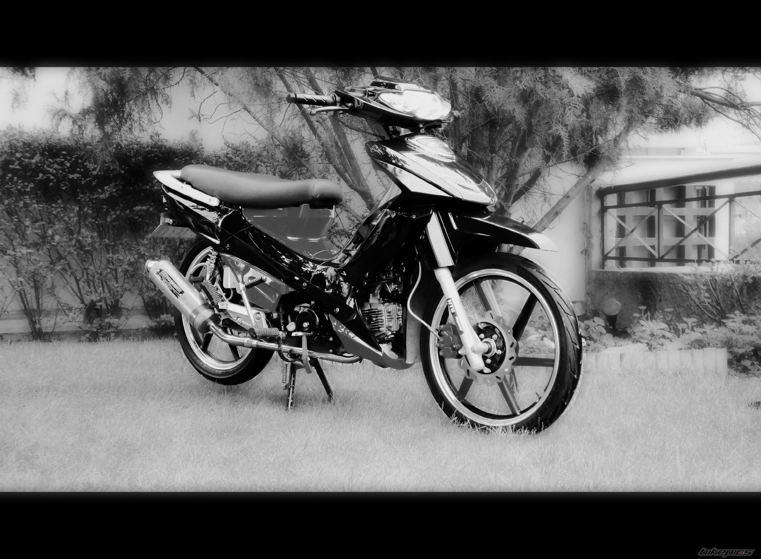 Photo 2191678
