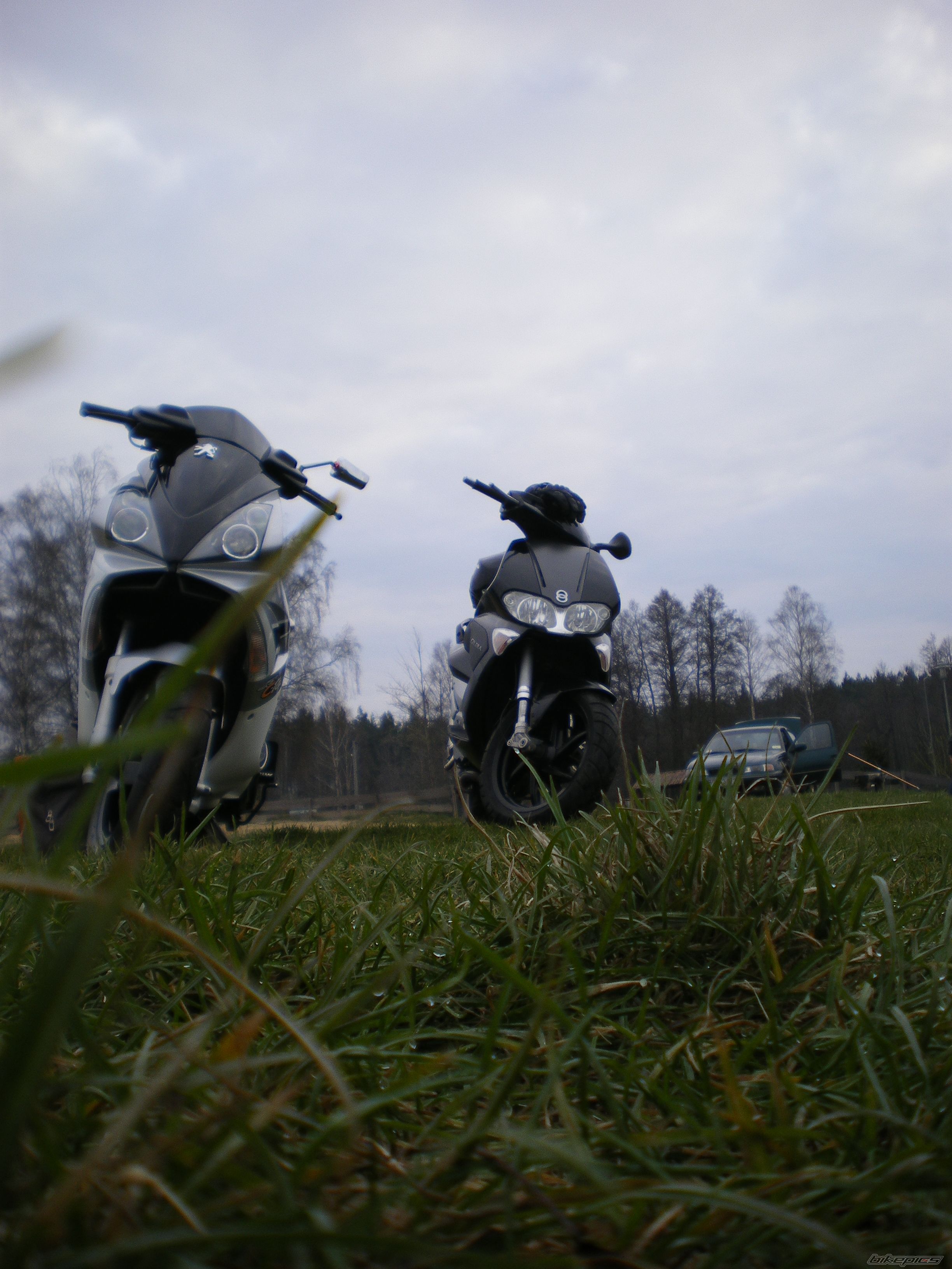 Photo 2191889