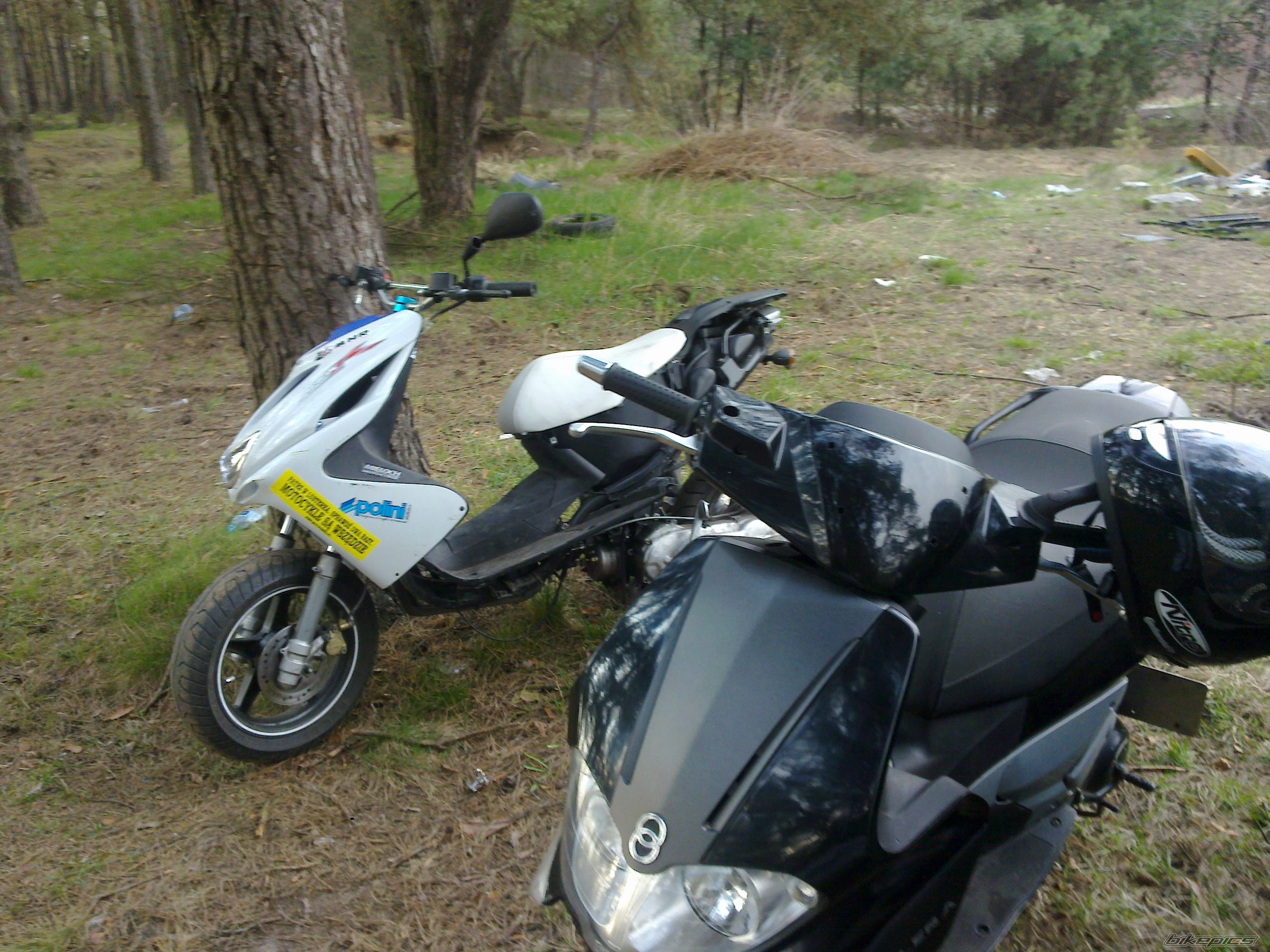 Photo 2191901