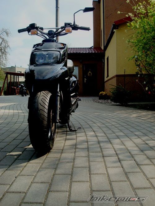 Photo 2192254