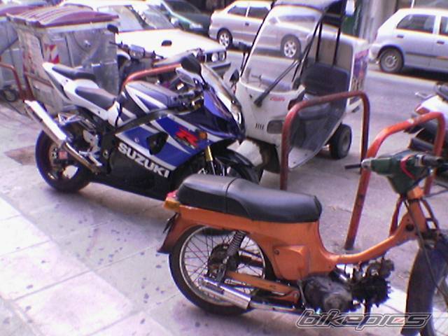 Photo 219237