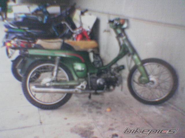 Photo 219238