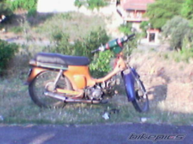 Photo 219241