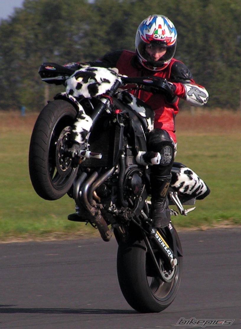 Bike Photo 219262