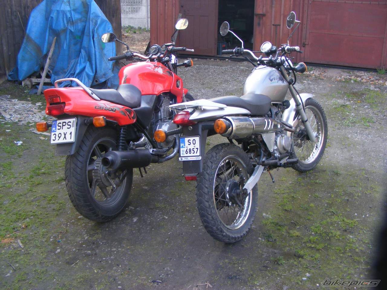 Photo 2192684