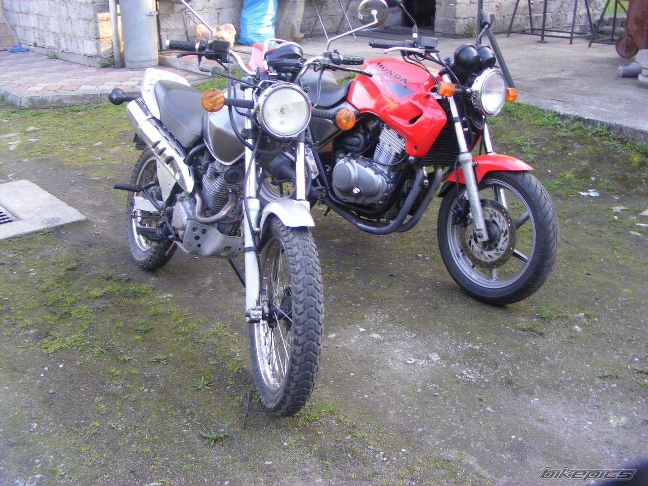 Photo 2192686