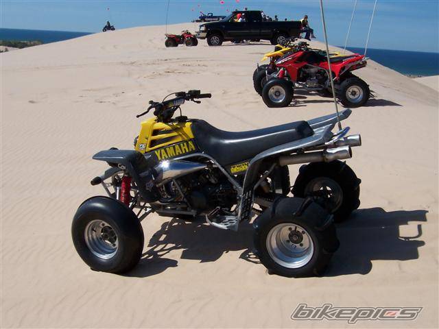 Photo 219270