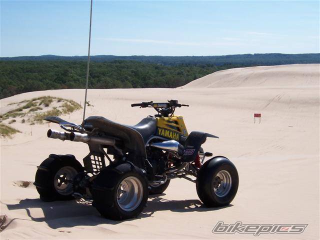Photo 219271