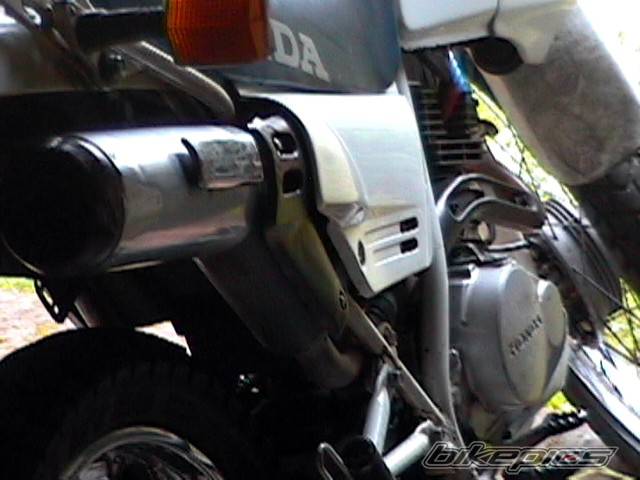 Photo 219298