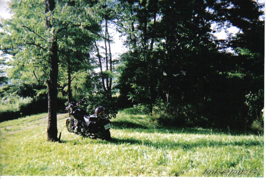 Photo 219304