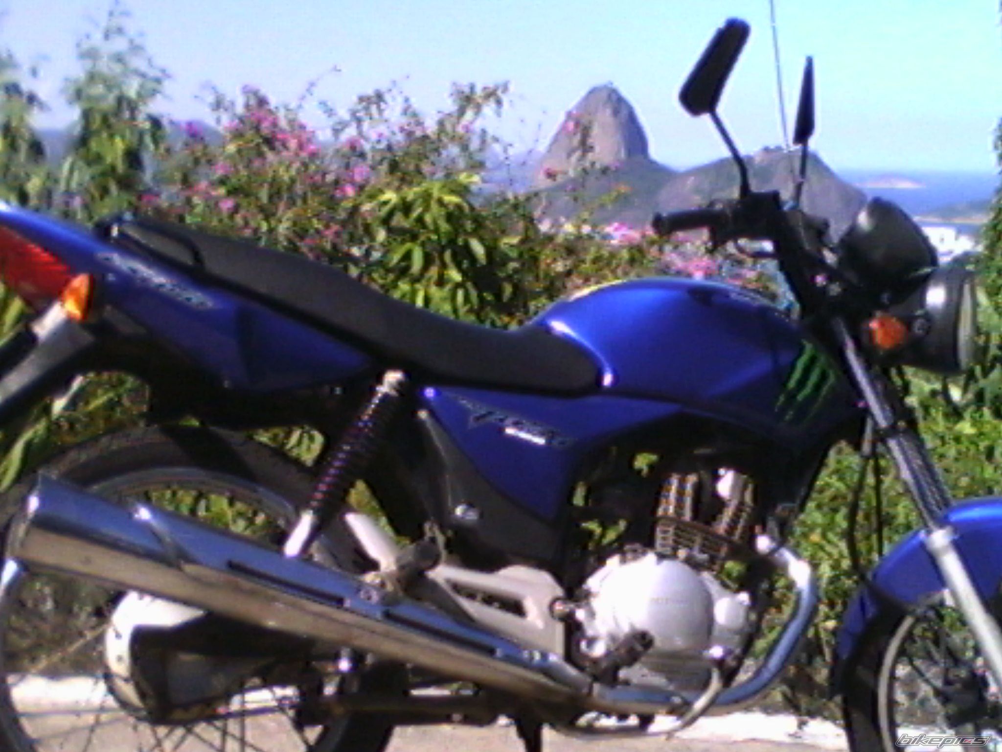Photo 2193065
