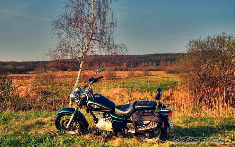 Bike Photo 2193140