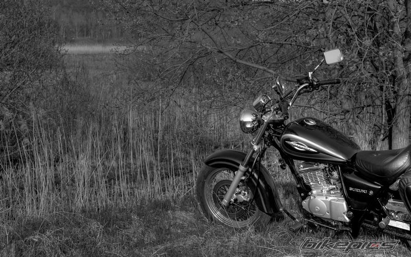 Bike Photo 2193141