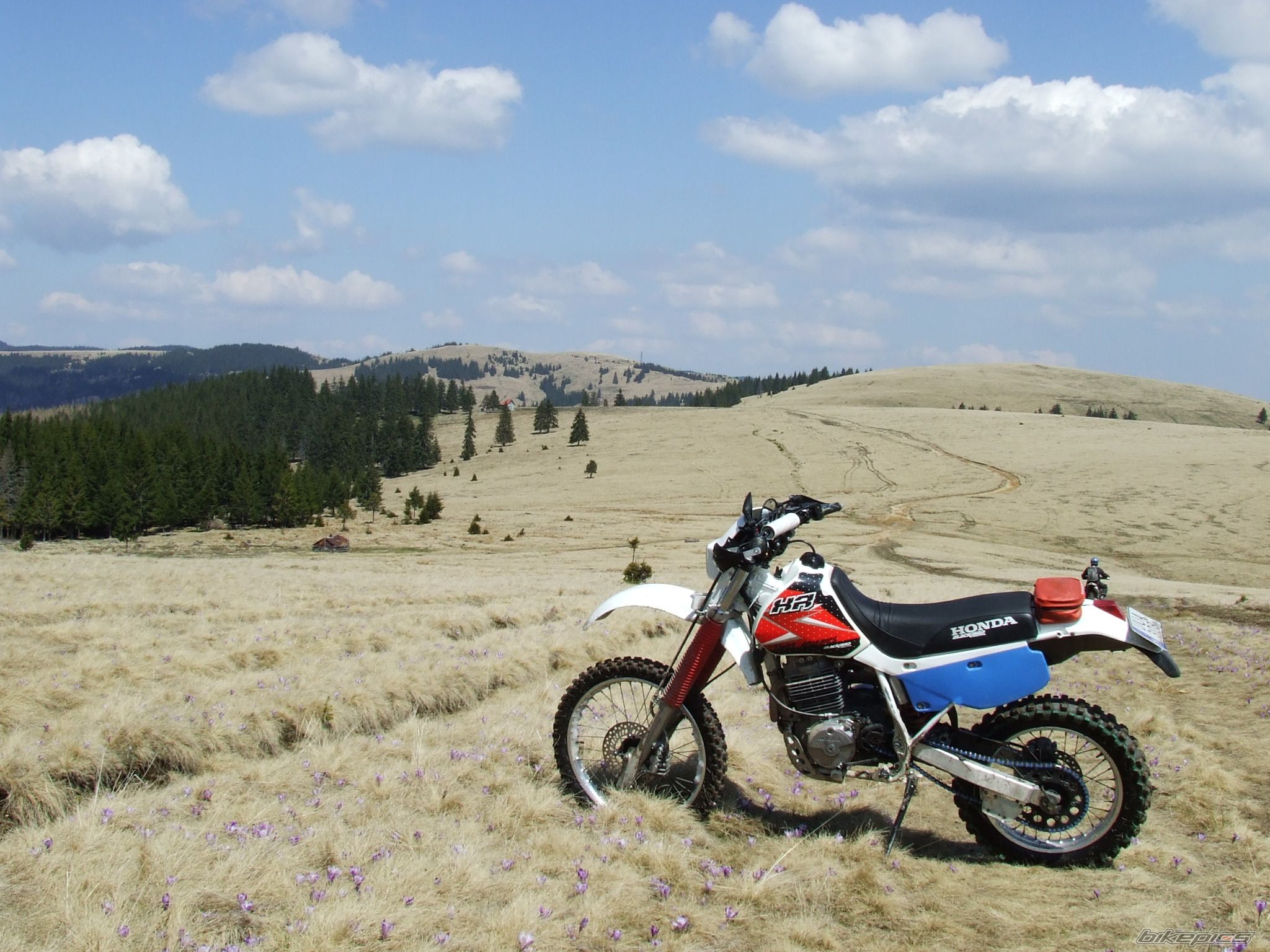Bike Photo 2193237