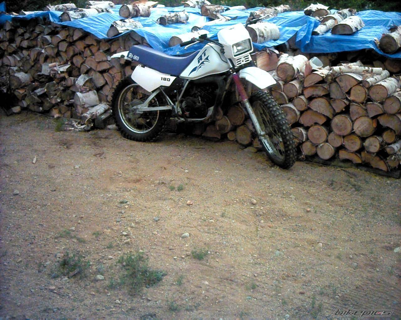 Photo 219325