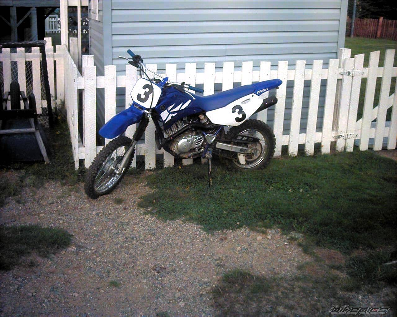 Photo 219326