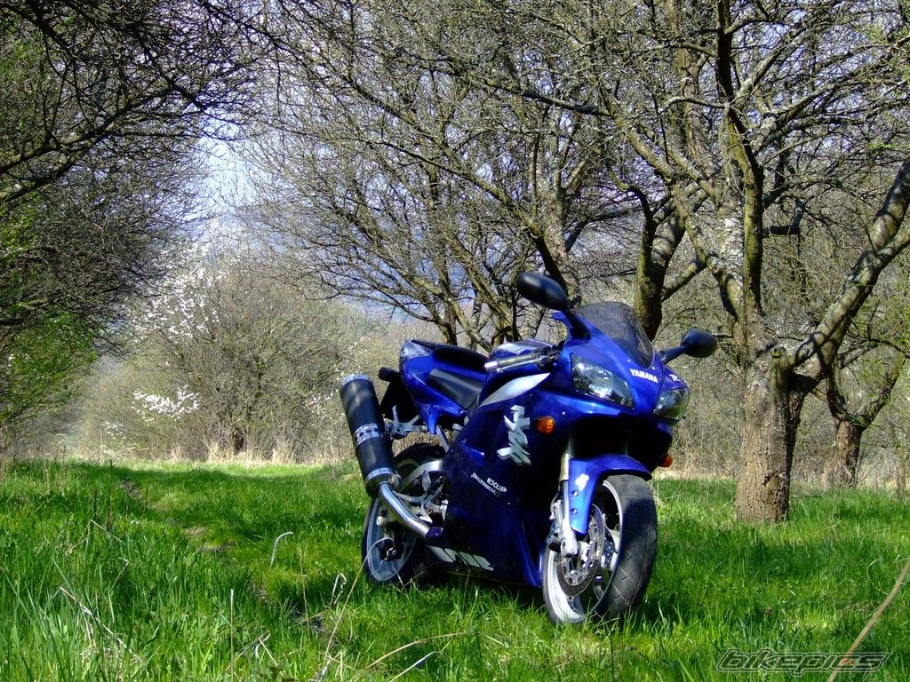 Bike Photo 2193290