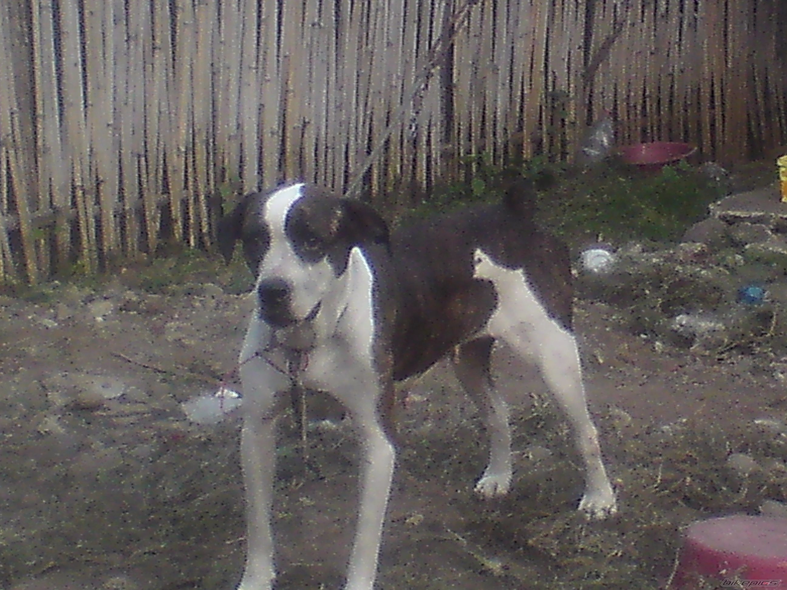 Photo 2193292