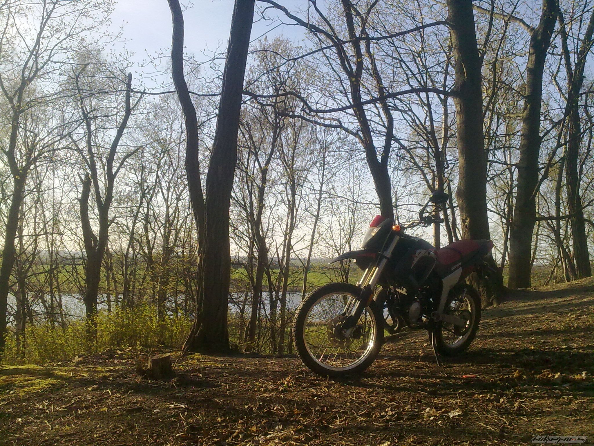 Bike Photo 2193515