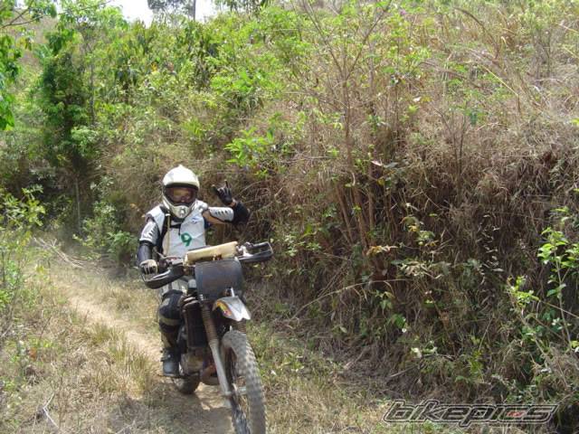 Photo 219359