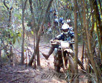 Photo 219360
